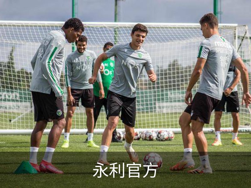 关于永利官方